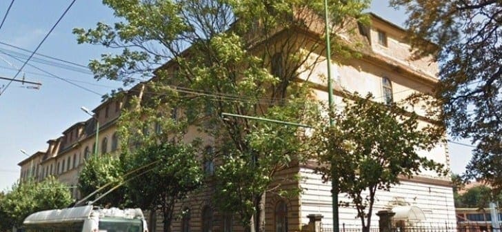 Robu – plantăm mai mulți copaci decât tăiem