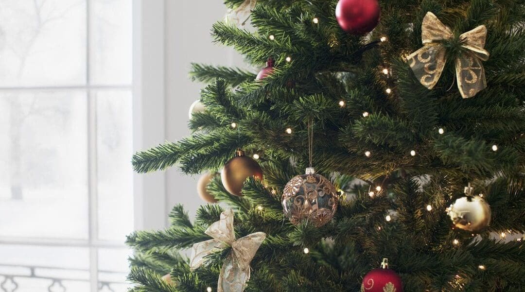 Unde puteți arunca brazii de Crăciun?