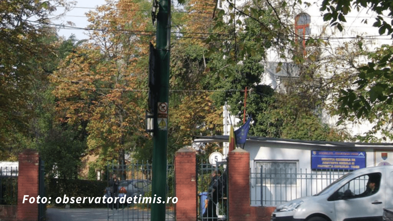 DGASPC Timiș caută familii pentru copiii aflați în grija statului