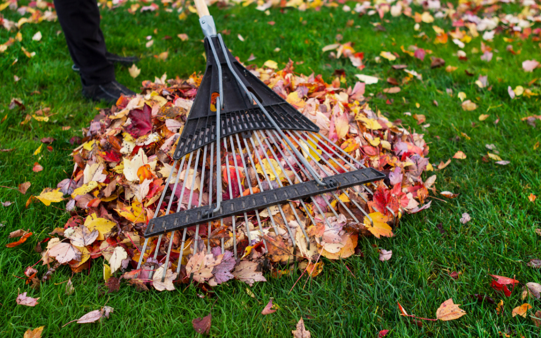 Campania de toamnă pentru colectarea deșeurilor la Moșnița Nouă