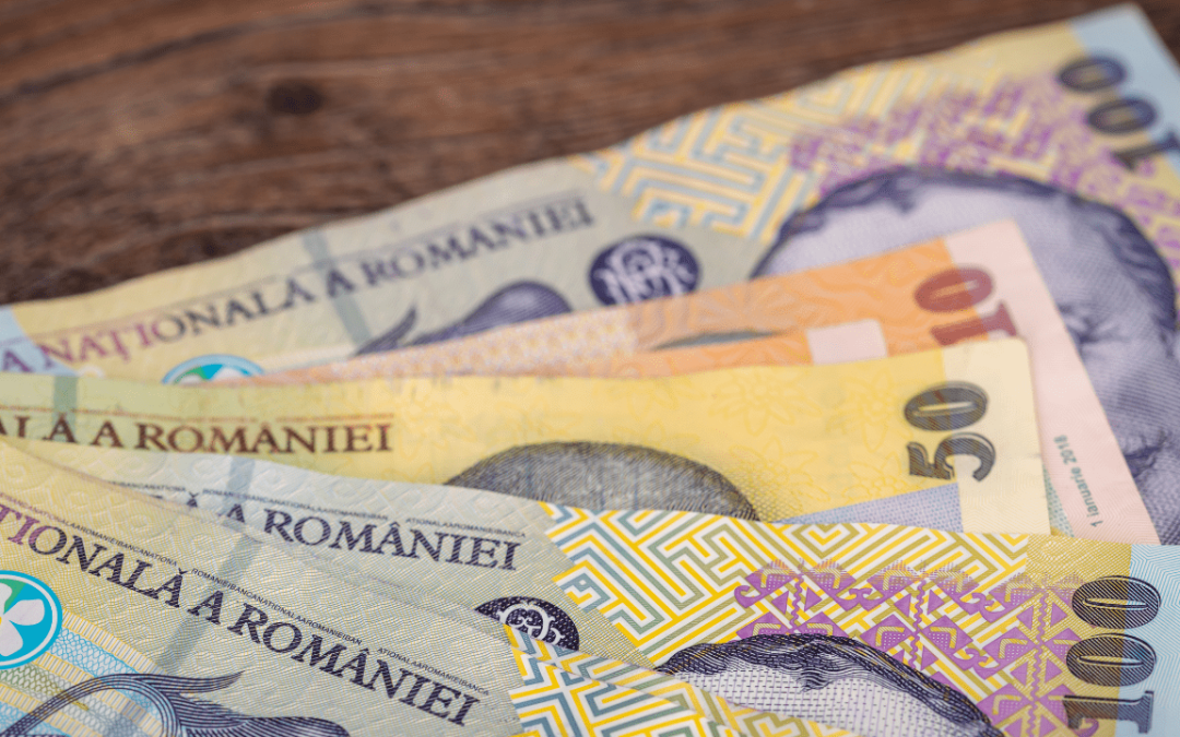 Anchetă în mai multe școli din Timiș