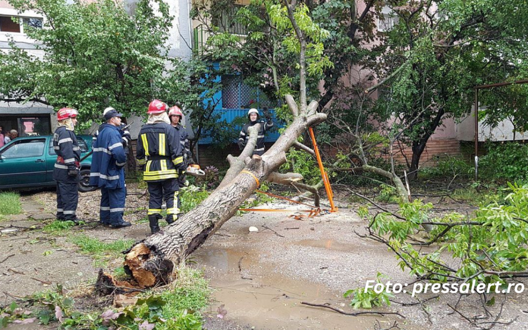 Furtuna a făcut ravagii în județul Timiș