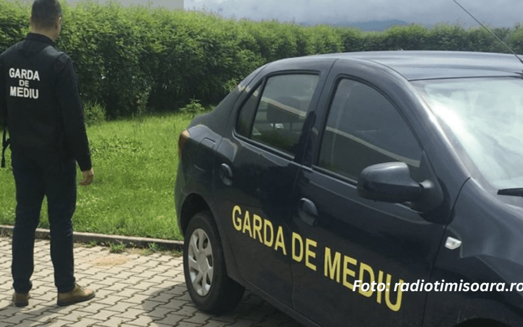 Fabrica de pe Calea Lipovei este în atenția Gărzii de Mediu în urma unor sesizări