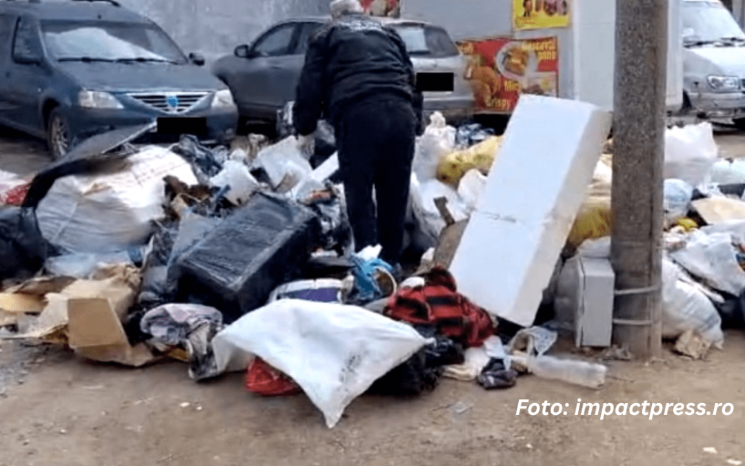 Poliția Locală Timișoara aplică sancțiuni pentru gestionarea necorespunzătoare a deșeurilor