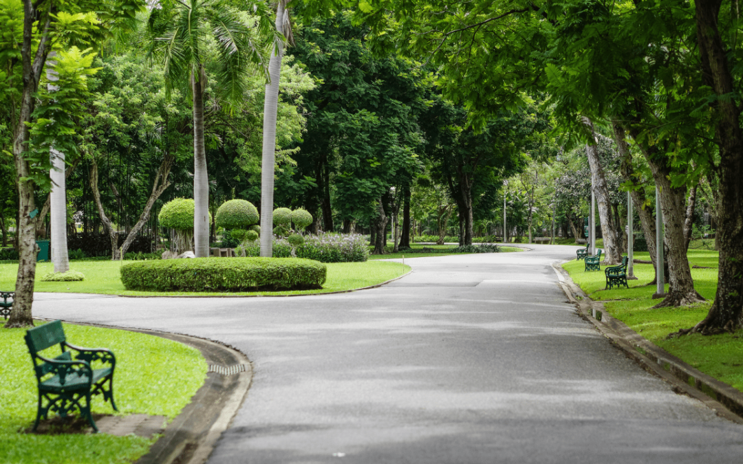 Orașul Lugoj va avea un parc nou până anul viitor