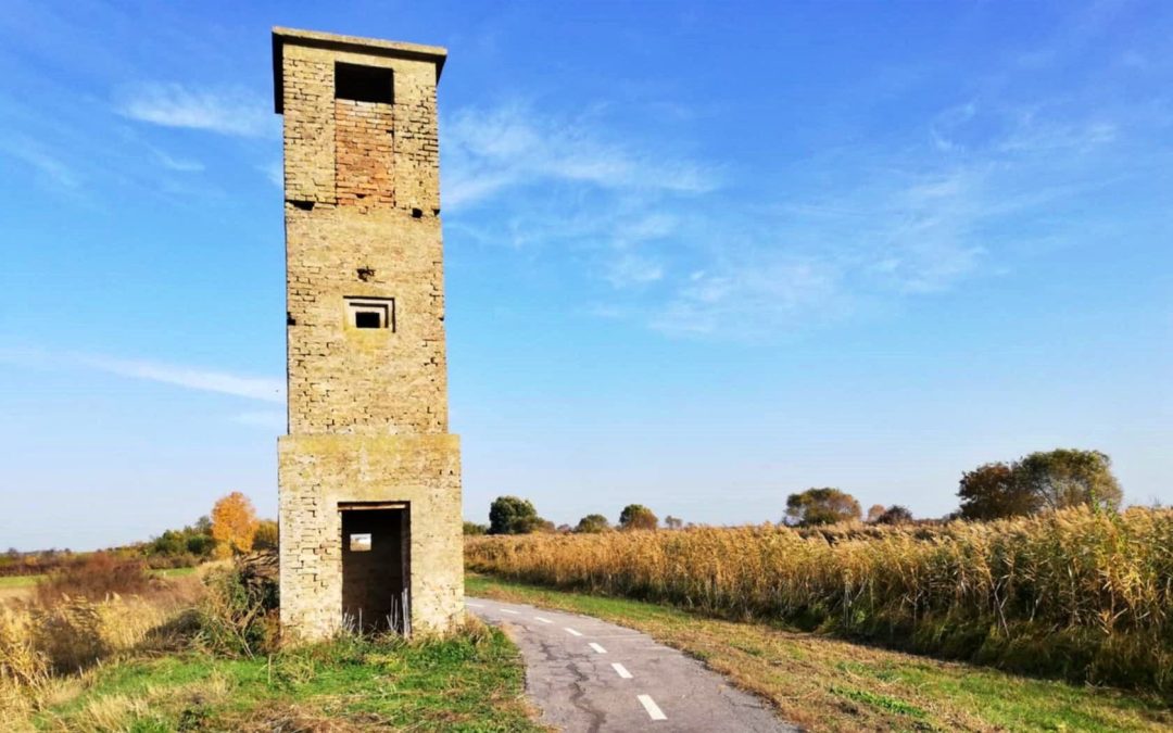 Frontiera cu Serbia se deschide temporar în acest weekend