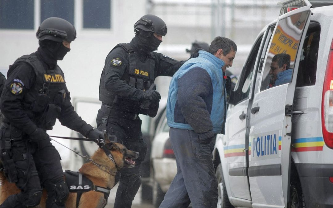 Evaziune fiscală de 3 milioane de lei descoperită de polițiștii timișeni