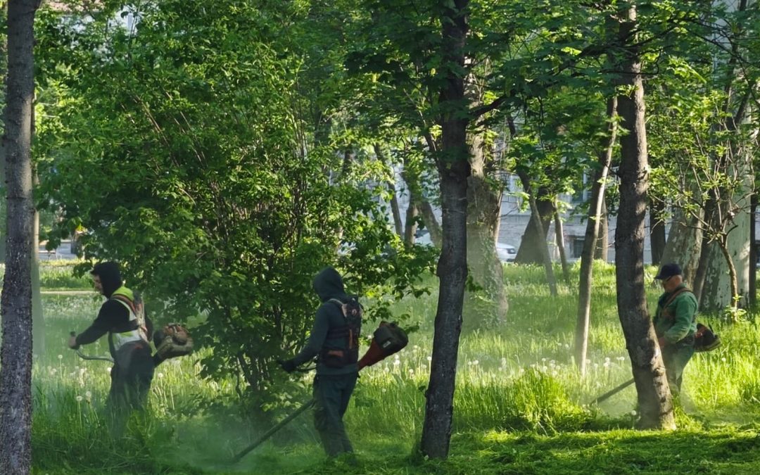 Primăria oferă peste 30 de milioane de lei pentru întreținerea spațiilor verzi
